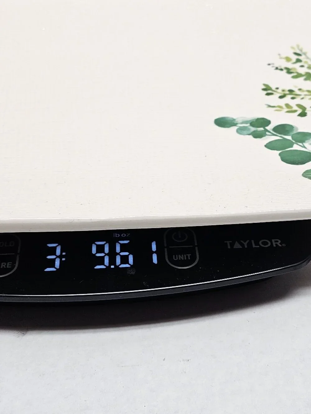 New Stoneware Pier1 Rectangular Ceramic Platter Botanical Green Design 16